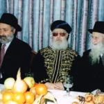 צילום מסך 2024-12-01 155124