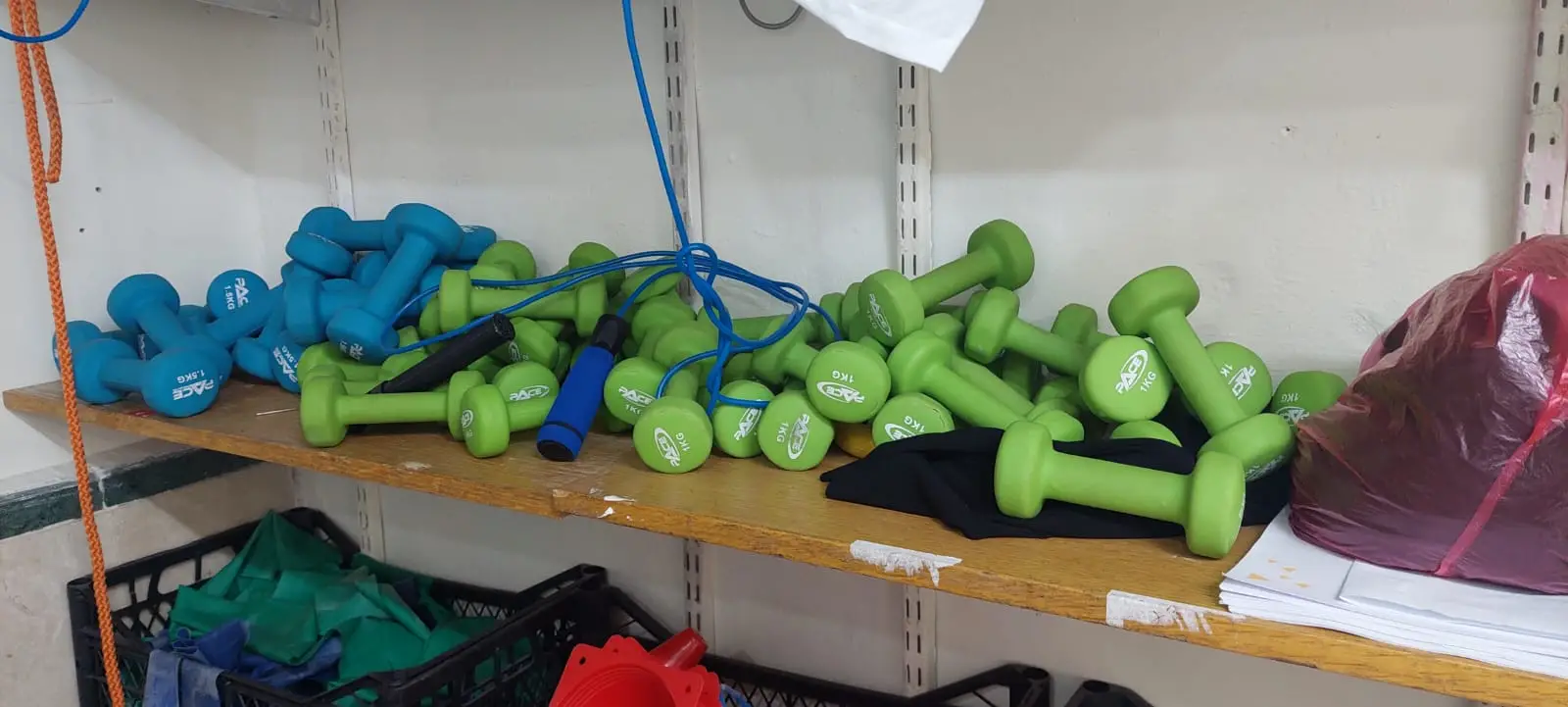 תמונה של WhatsApp_ 2024-11-04 בשעה 11.09.51_3cc65521 (1)